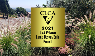 2021 CLCA  Award